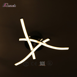 Modern Metal Ceiling Lamp with Simplism Style for Hotel Decoration